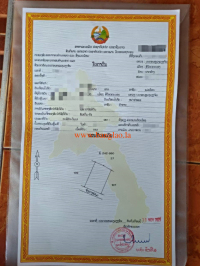 T00305
